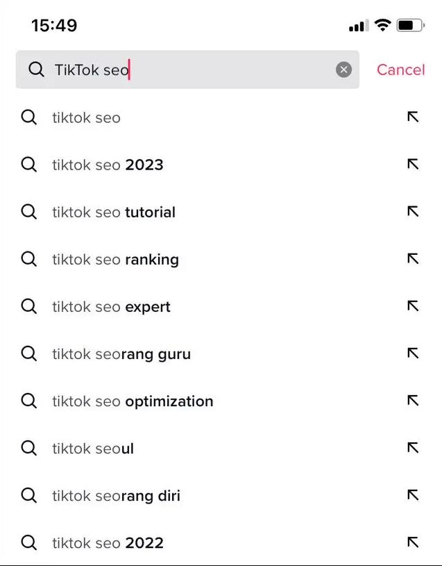 如何通过TikTok SEO玩转自然精准搜索流量 如何通过TikTok SEO玩转自然精准搜索流量