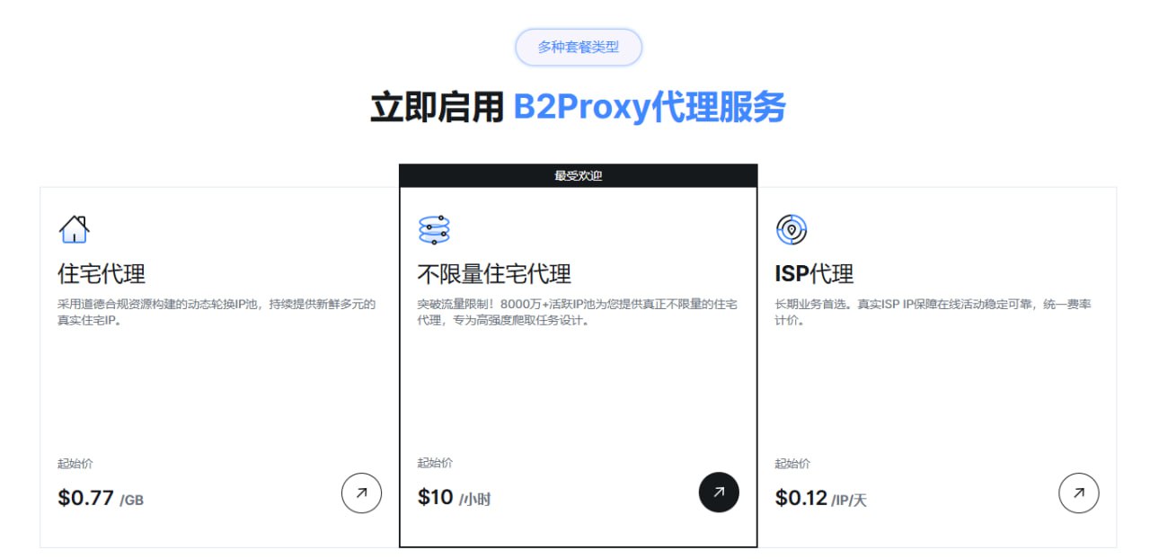 十大海外IP代理服务商对比评测，哪家才是你的最佳选择？